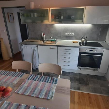 Apartman Franz Josef Hostka (Usti nad Labem) Exterior foto